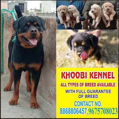 Khoobi Kennel