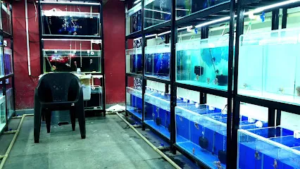 9.9 India Aquariums