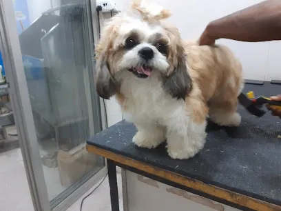 Aarya's Pet Wash & Grooming Salon