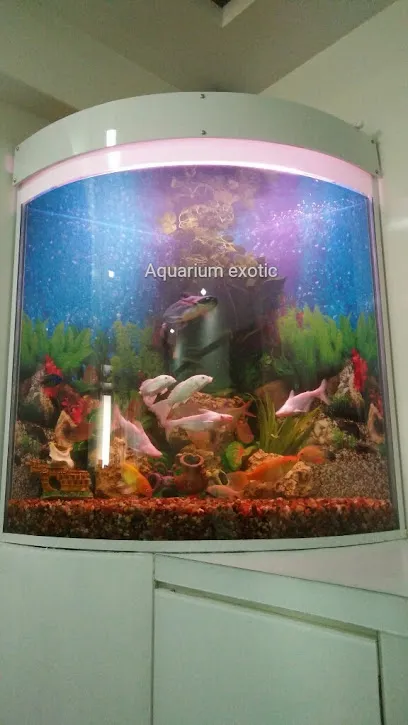 Aquarium Exotic