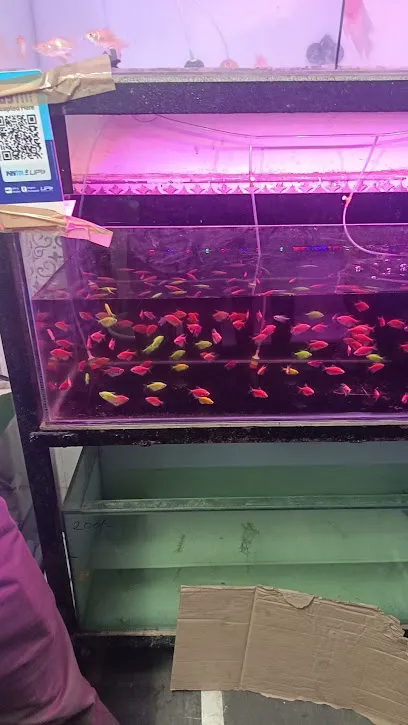 Ashok Vaidya Aquatics Aquarium And Pet Shop