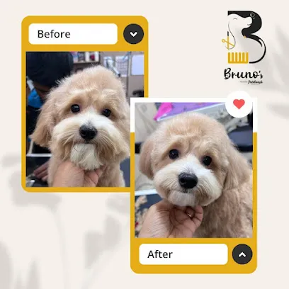 Bruno's - Pet Grooming & Spa Powered By Petsburgh