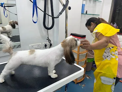 Curls & Tangles - Mumbai's Best Pet Grooming Lounge