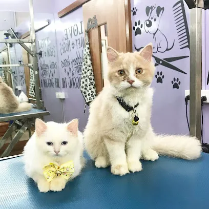 Curly Tails - Pet Grooming Salon