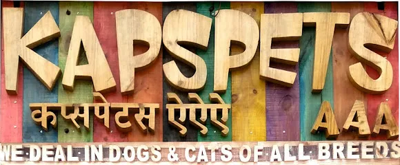 Kapspetsmumbaikennel