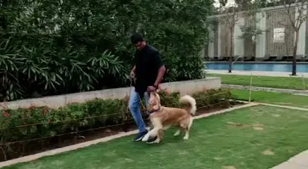 Kunal Dog Trainer Canine Behaviourist