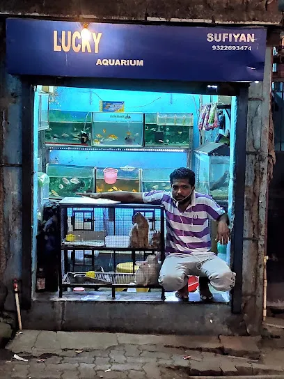 Lucky Aquarium & Pet Shop Antophill Wadala