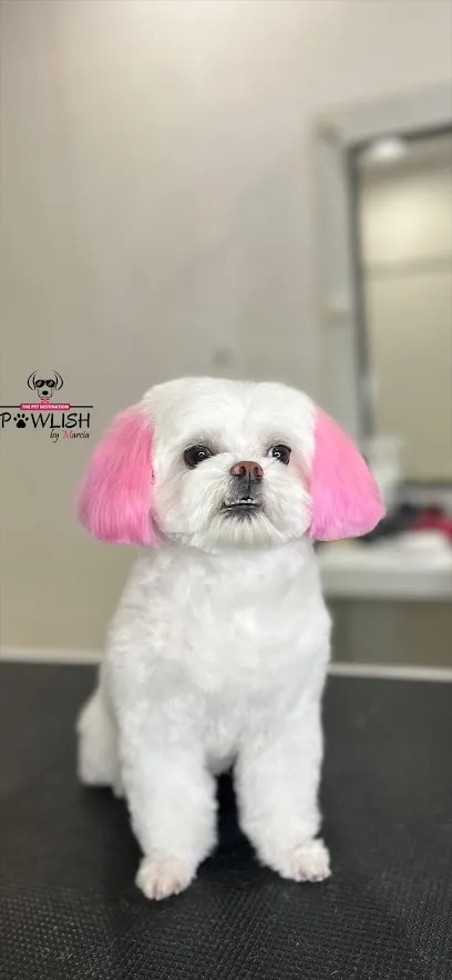 Pawlish By Marcia - The Pet Salon