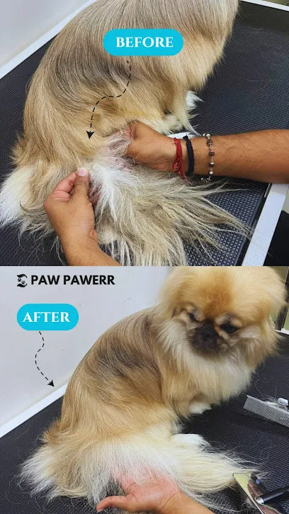 Pawpawerr Pet Grooming & Essentials - Best Pet Grooming And Services