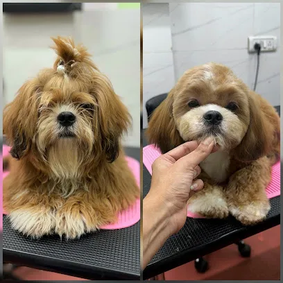 Pet Grooming Tales Grooming Salon & Academy