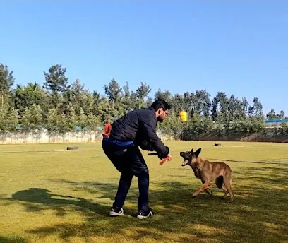 Rohan Kulkarni - Dog Trainer In Navi Mumbai