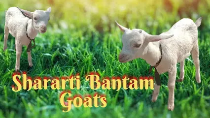 Shah Goats Farm