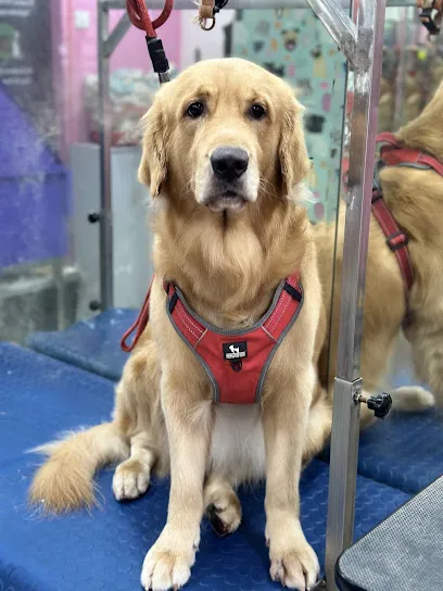 The Bark Tub- Pet Grooming Salon