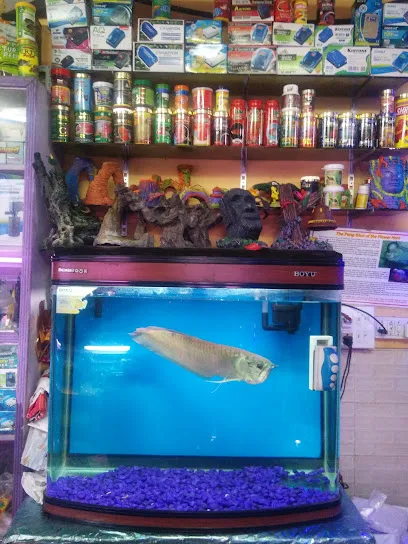 The Fish World Aquarium Pet Shop