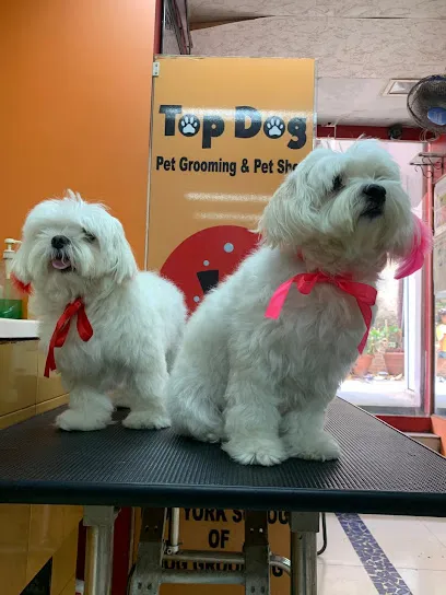 Top Dog Pet Spa