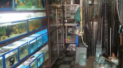 Vindhyachal Glass Works,Aquarium And Pet Shop