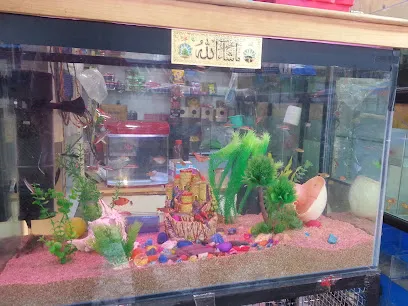 Yam Aquarium & Pet Shop