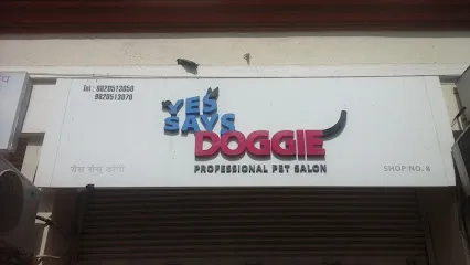 Yes Says Doggie Salon