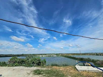 Shivam Fish Farming