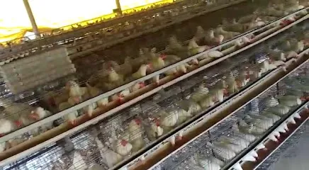 Shubham Poultry Farm