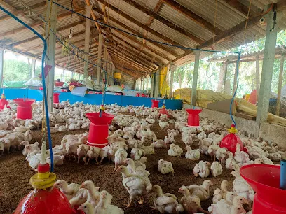 Jayanth Poultry Farm