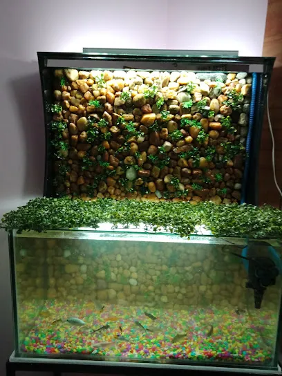 Living Water Aquarium