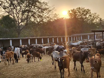 Mysore Pinjarapole Society