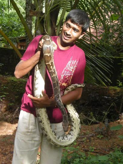 Mysore Snake Rescue And Relocator