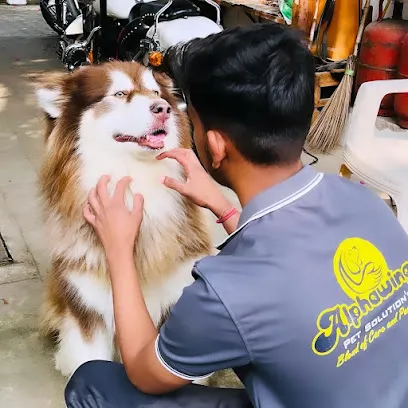 Alphawings Pet Solution's Nagpur (Dog Groomingspa)