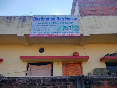 Destination Dog House