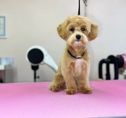 Doghub Grooming Centre