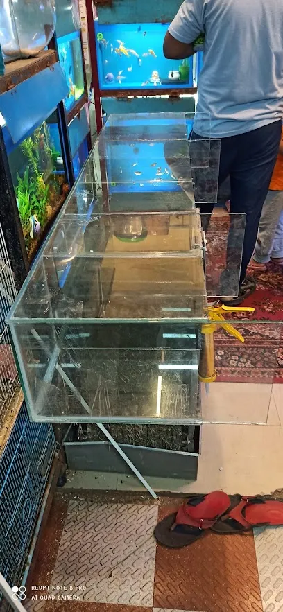 Barkati Aquarium & Pet Shop