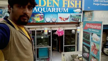 Golden Fish Aquarium