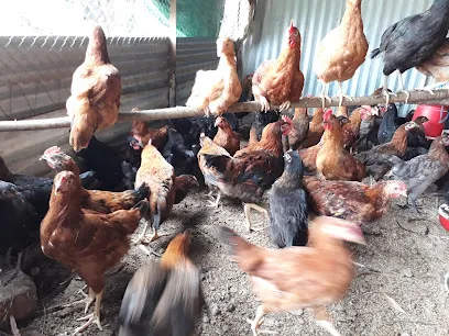 Parth Poultry Farm