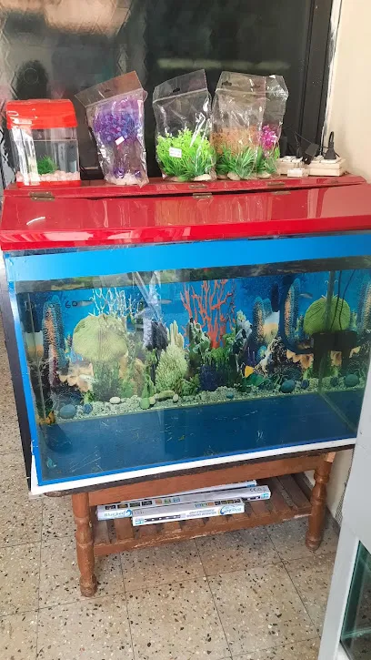 Shree Aquariums