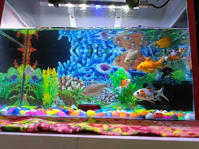 Singh's Aquarium