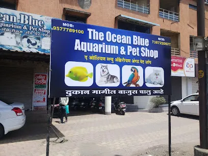 The Ocean Blue Fish Aquarium Shopee