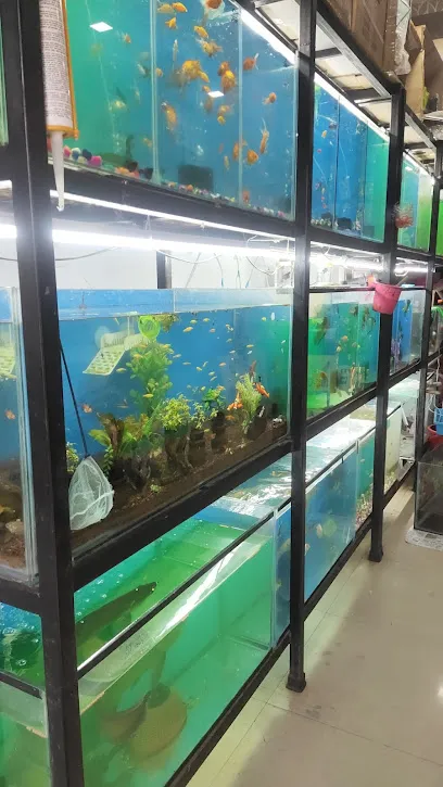 Varun Aquarium & Pet Shop