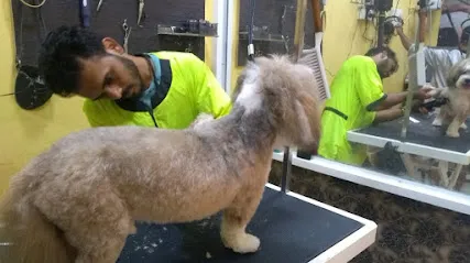 A's Pets Grooming Salon