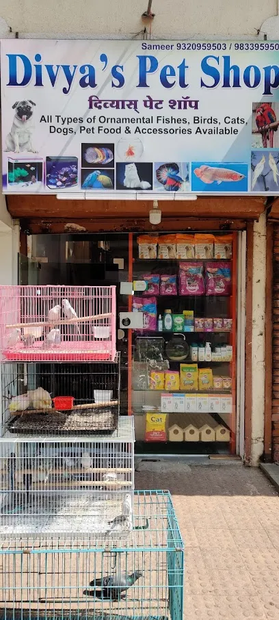 Divya's Pet Shop