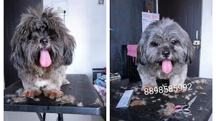 Pets Haircutspa At Home