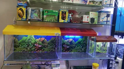 Vr Aquarium & Pet Shop