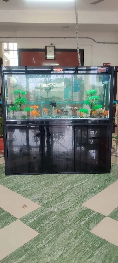 Nellore Aquarium & Pet's