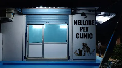 Nellore Pet Clinic