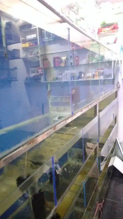 Siraj Aquariums