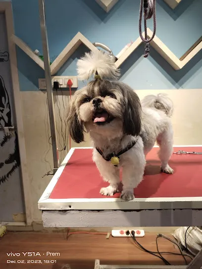 Snappy Tails Pet Grooming Studio