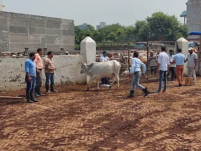 Gau Shala Jalpura Greater Noida