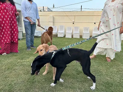 Poochkins - Dog Boarding Noida