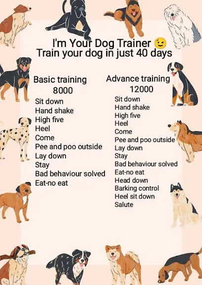 I'm Your Dog Trainer