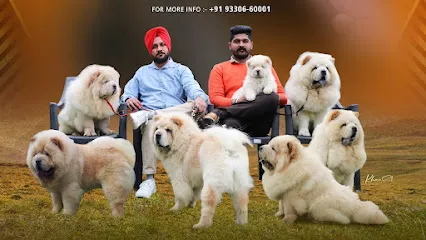 Param Chow Chow Kennel